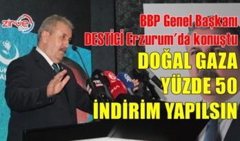 DESTİCİ, DOĞAL GAZA YÜZDE 50 İNDİRİM İSTEDİ