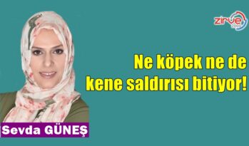 Ne köpek ne de kene saldırısı bitiyor!