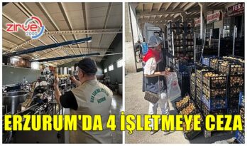 ERZURUM’DA 4 İŞLETMEYE CEZA
