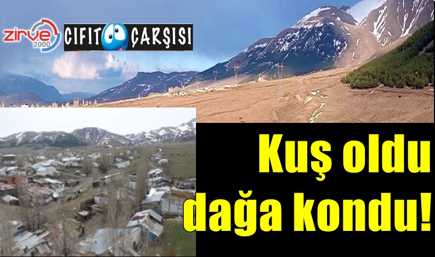 Kuş oldu dağa kondu!