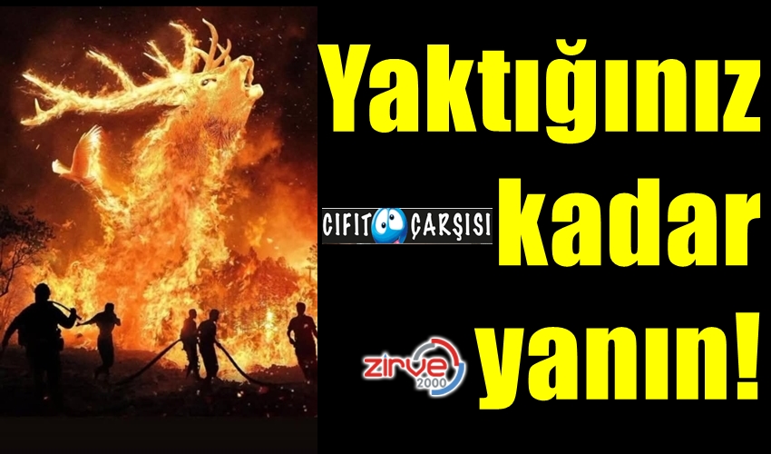 Yaktığınız kadar yanın!
