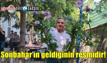 Sonbahar’ın geldiğinin resmidir!