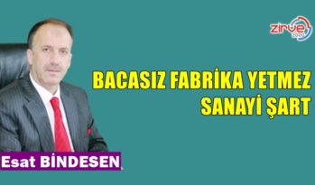 BACASIZ FABRİKA YETMEZ, SANAYİ ŞART