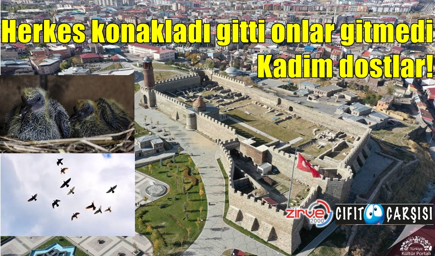 Herkes konakladı gitti, onlar gitmedi