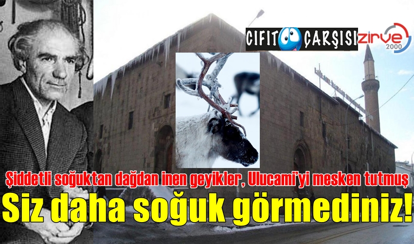 Siz daha soğuk görmediniz!