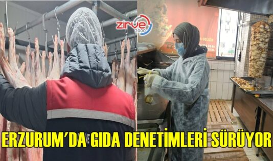 ERZURUM’DA 201 İŞLETMEYE DENETİM