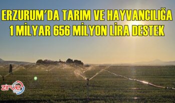 TARIM VE HAYVANCILIĞA DEV DESTEK