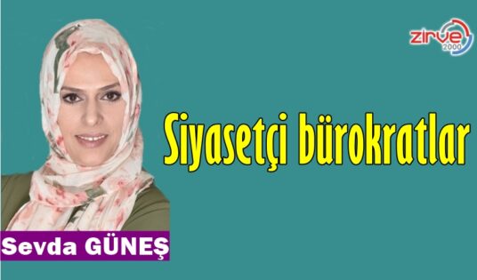 Siyasetçi bürokratlar