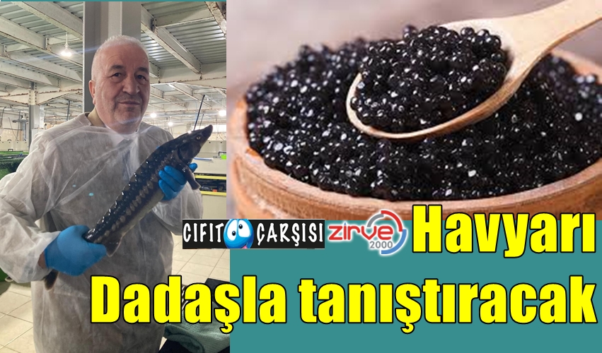 Havyarı Dadaşla tanıştıracak