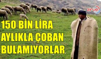 KİMSE ÇOBAN OLMAK İSTEMİYOR