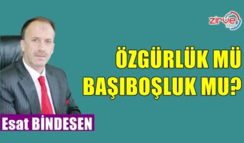 ÖZGÜRLÜK MÜ, BAŞIBOŞLUK MU?