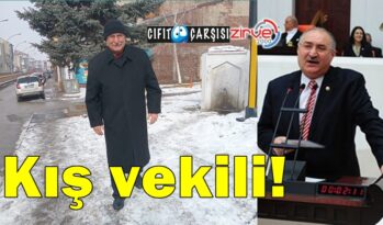 Kış vekili!