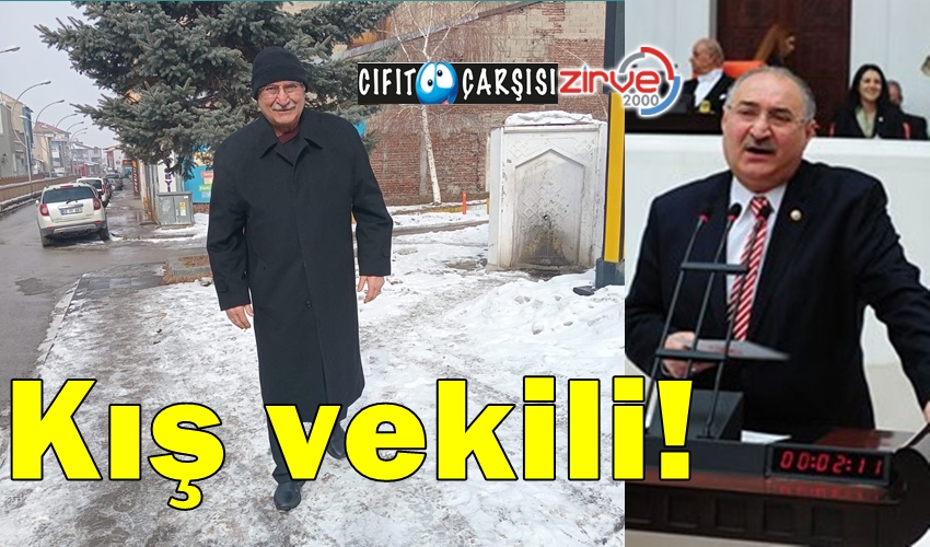 Kış vekili!