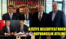 AZİZİYE BELEDİYESİ’NDEN HAYVANCILIK ATILIMI