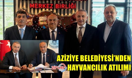AZİZİYE BELEDİYESİ’NDEN HAYVANCILIK ATILIMI