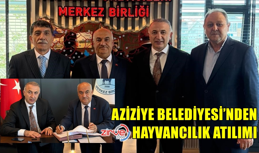 AZİZİYE BELEDİYESİ’NDEN HAYVANCILIK ATILIMI