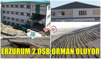 SANAYİ OLMADI ORMAN KURULUYOR