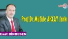 PROF. DR. MÜFİDE AKÇAY FARKI