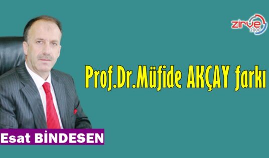 PROF. DR. MÜFİDE AKÇAY FARKI