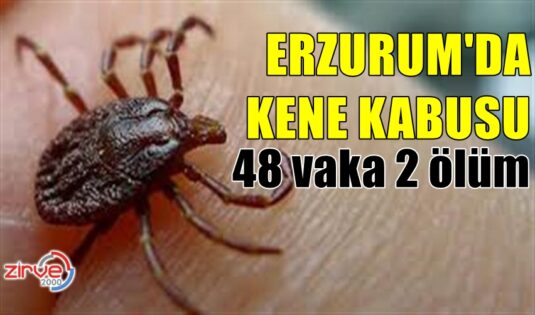 KENE CAN ALMAYA DEVAM EDİYOR