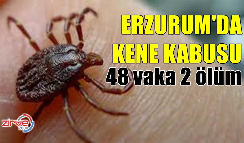 KENE CAN ALMAYA DEVAM EDİYOR