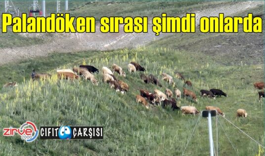 Palandöken sırası şimdi onlarda