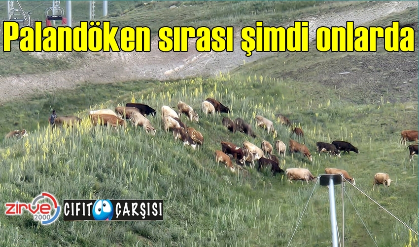 Palandöken sırası şimdi onlarda
