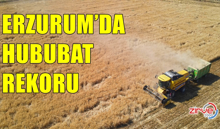 ERZURUM’DA HUBUBAT REKORU