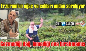Erzurum’un ağaç ve çalıları ondan soruluyor