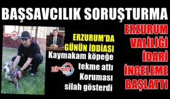 KÖPEĞE TEKME ATTI, CEZASIZ KALMAYACAK