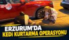 ERZURUM’DA KEDİ KURTARMA OPERASYONU