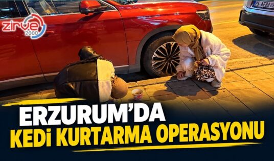 ERZURUM’DA KEDİ KURTARMA OPERASYONU