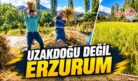 UZAKDOĞU DEĞİL ERZURUM